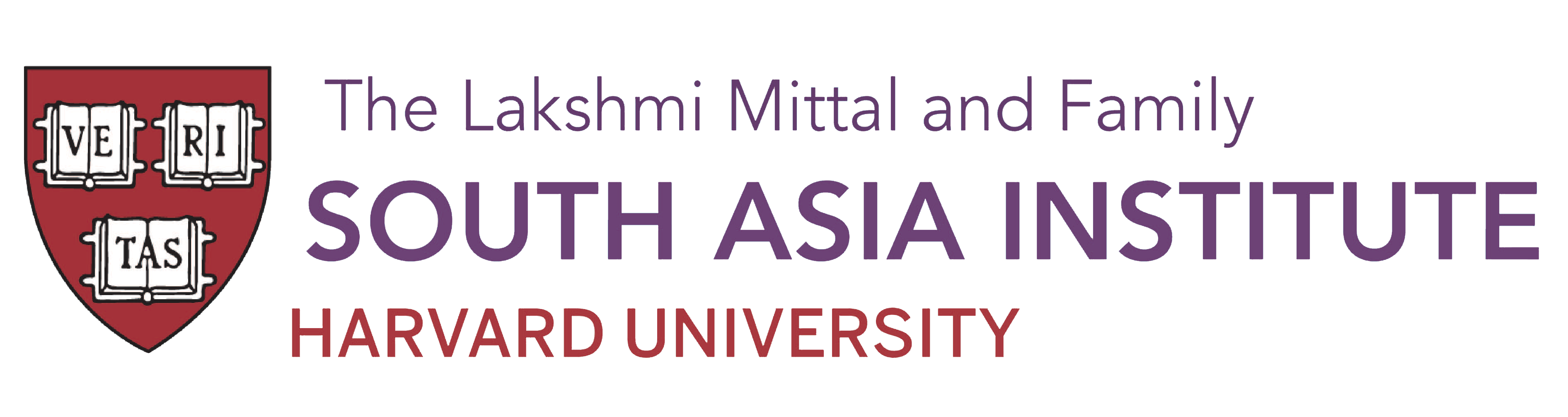 Mittal South Asia Institute
